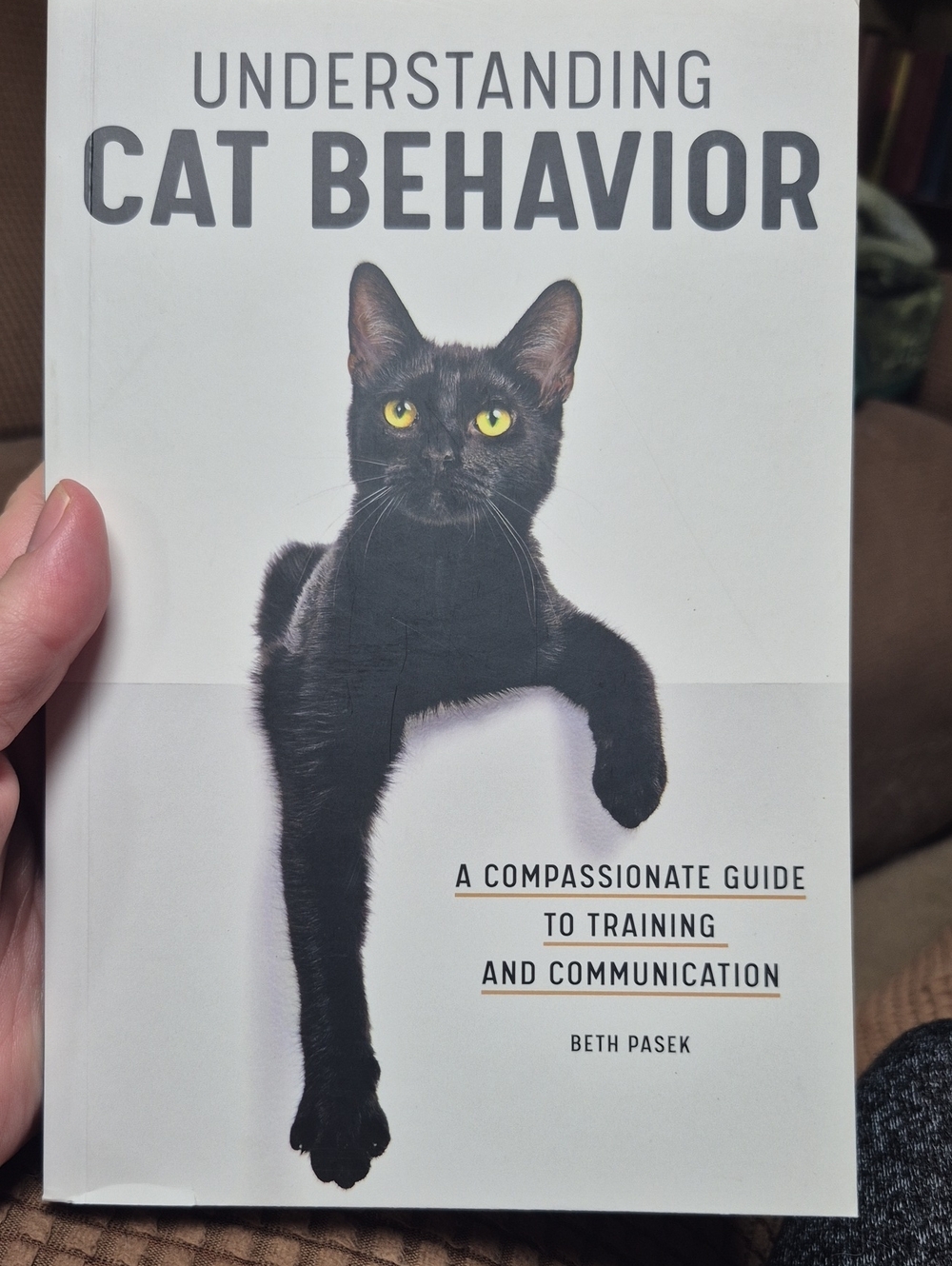 Understanding Cat Behavior - Compassionate Guide To Training And Communication